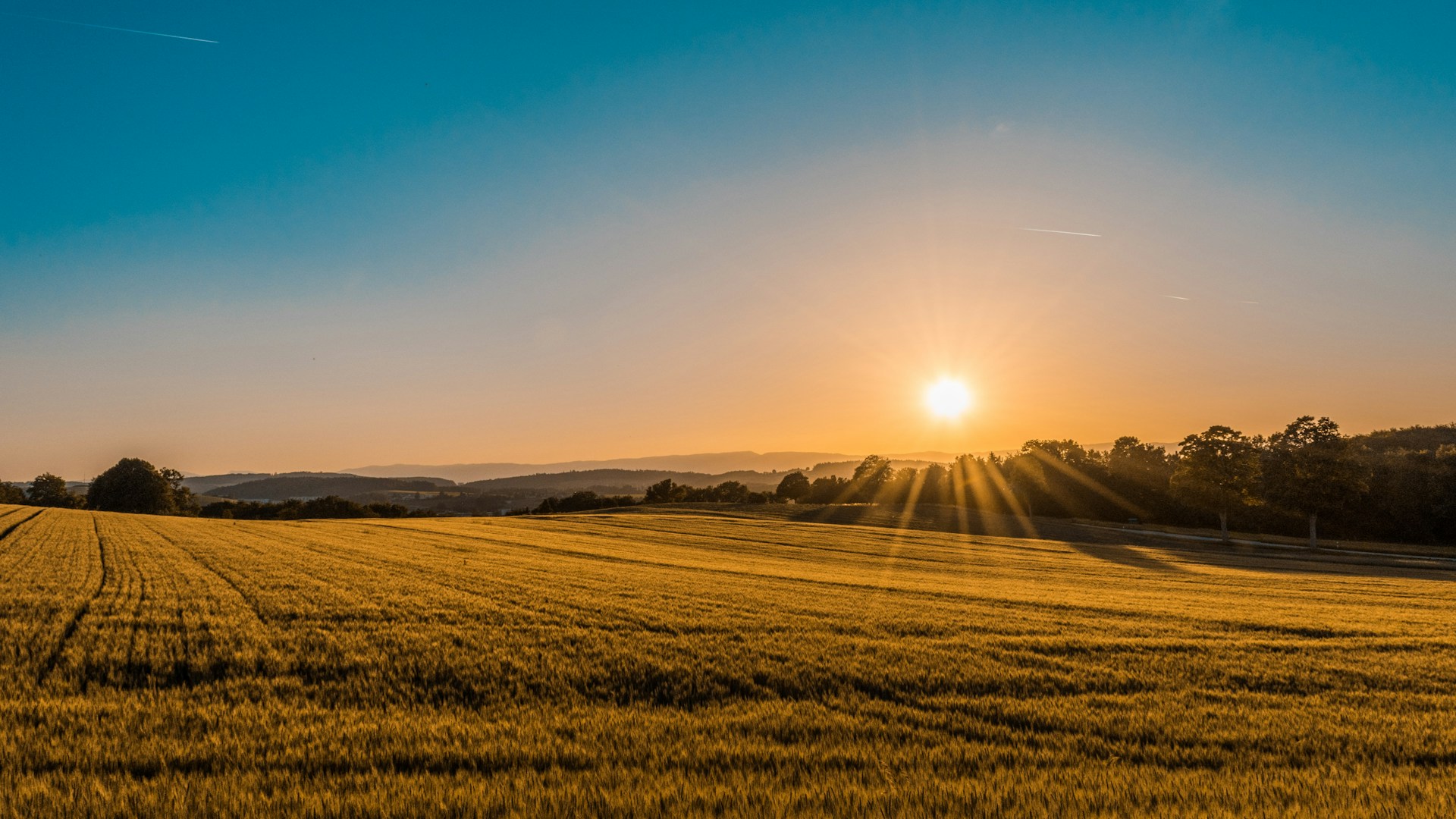 expansive sunlit agricultural fields in Türkiye with rolling green hills and modern sustainable greenhouses under a soft blue sky