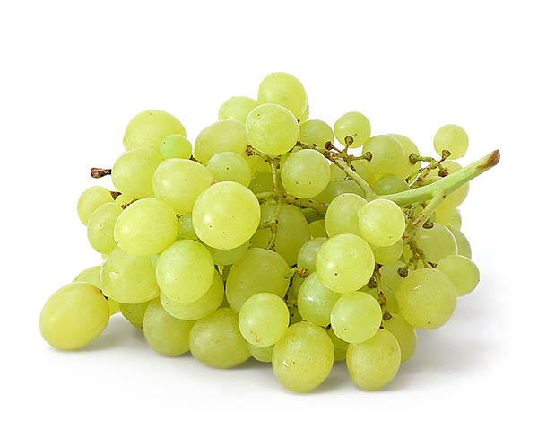 grape-export