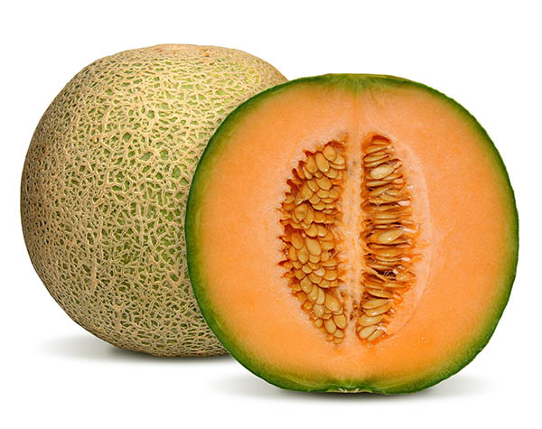 melon-export